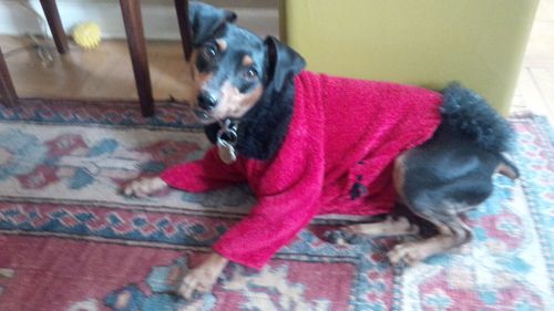 Diva